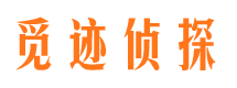 怀远外遇出轨调查取证